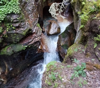 Water cascading through the narrow, moss-covered rock gorge at Little Hawaii in Bear Creek near Telluride, Colorado