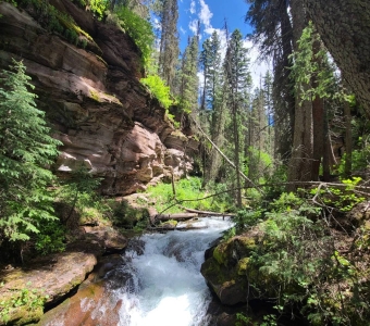 Bear Creek cascading through the forested gorge immediately downstream of Little Hawaii near Telluride, Colorado