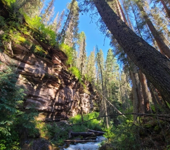 Bear Creek flowing through a forested gorge immediately downstream of Little Hawaii near Telluride, Colorado