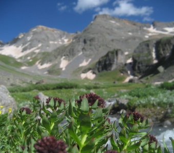 King's Crown in Upper Waterfall Canyon near Ophir
