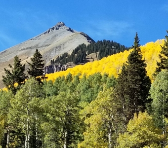 Autumn aspens along the Sneffels Highline Trail near Telluride