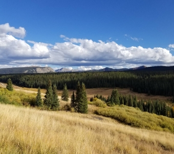 High-country meadow and forest along the Cross Mountain Trail near Lizard Head Pass