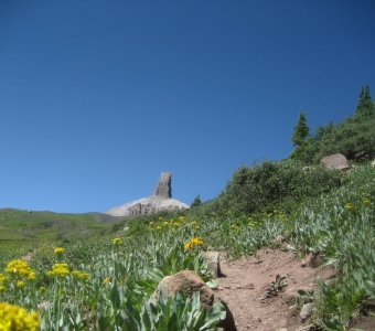 Lizard Head rock formation above a wildflower-lined trail in the San Juan Mountains
