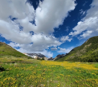 Ophir Pass viewed across the Spring Gulch avalanche field near Ophir, Colorado