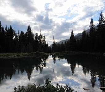 Small mountain pond below Ophir Pass with the Ophir Needles in the distance
