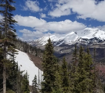 Spring view of Milk Run from the Telluride Trail, with melting snow on the ski run and the San Juan Mountains beyond.