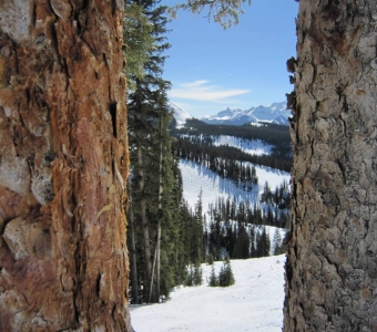 Sully's Gully at Telluride Ski Resort on a spring day, with Lizard Head visible in the distance.