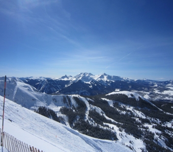 View from the Gold Hill area across Prospect Bowl toward the Wilson Range at Telluride Ski Resort.