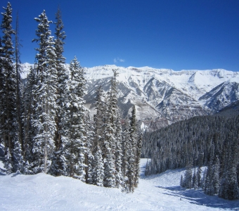 Bottom of Joint Point where the run intersects Mammoth at Telluride Ski Resort.