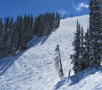 Looking up Mammoth toward the top of Lift 9 from the bottom of Joint Point at Telluride Ski Resort.