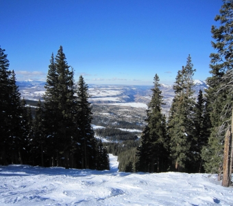 Looking down Alias Alley from the former Lift 6 corridor at Telluride Ski Resort.